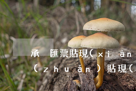 承兌匯票貼現(xiàn)、轉(zhuǎn)貼現(xiàn)和再貼現(xiàn)及票據(jù)瑕疵有哪些